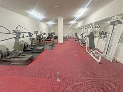Picture 16